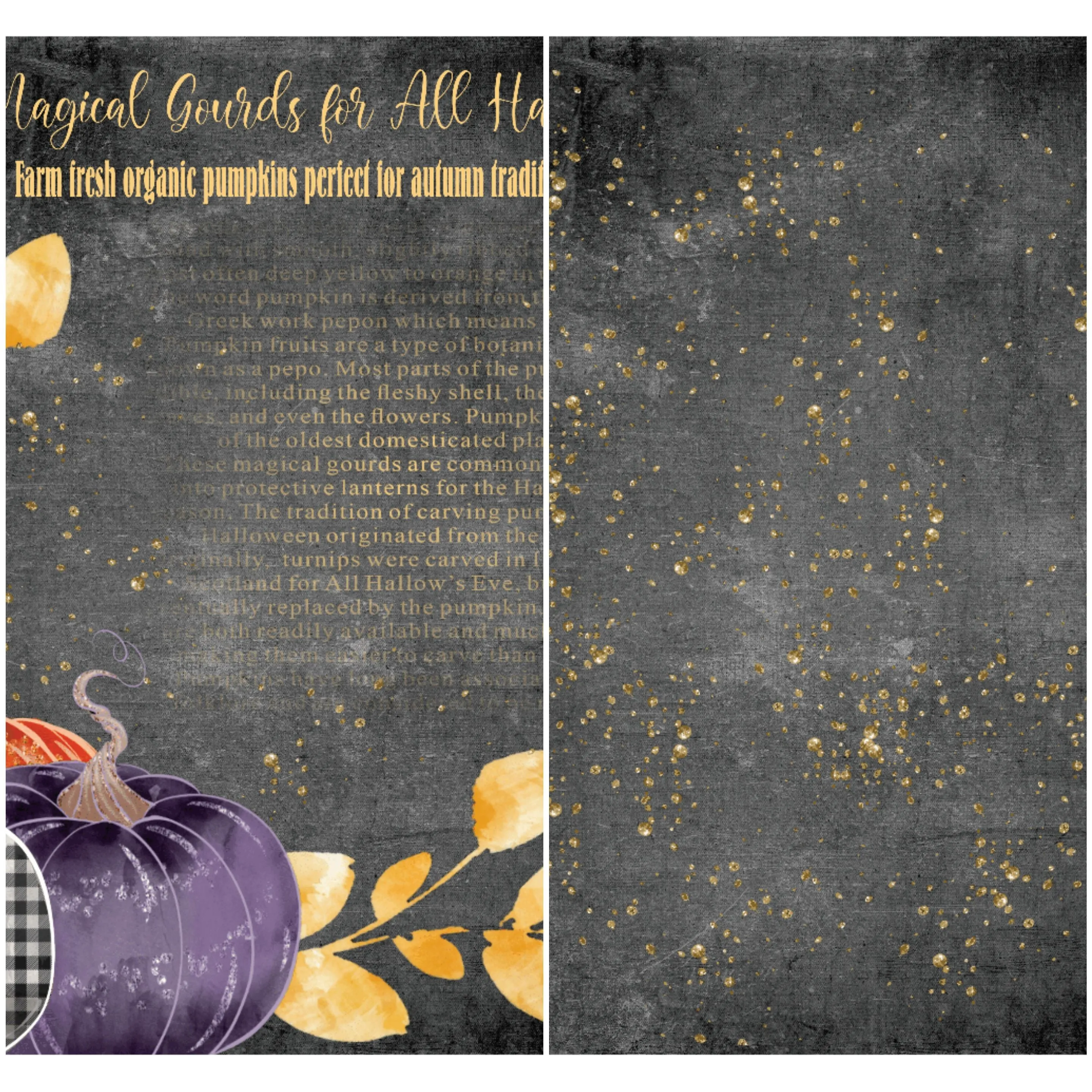 Country Craft Creations - Bewitching Hour - 8x8 - 24 Sheets - Cotton Bristol