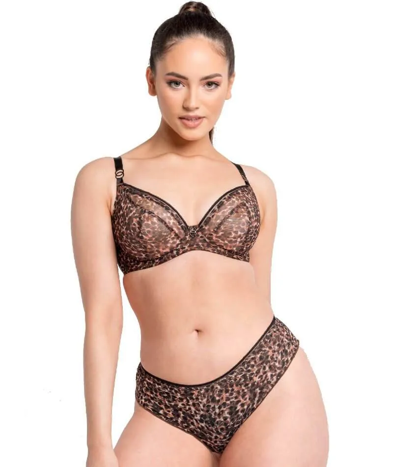 Curvy Kate Lifestyle Short - Animal Print