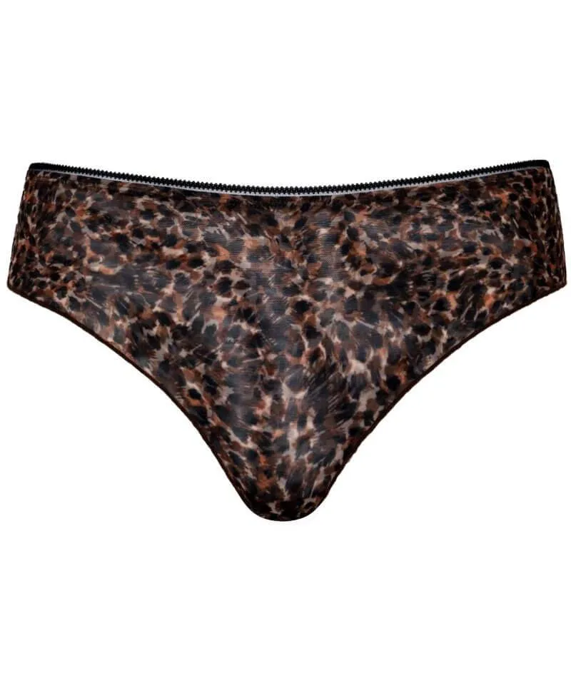 Curvy Kate Lifestyle Short - Animal Print