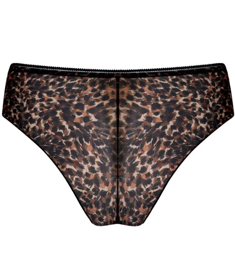 Curvy Kate Lifestyle Short - Animal Print