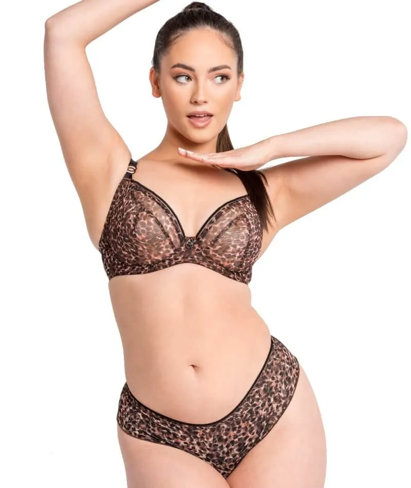 Curvy Kate Lifestyle Short - Animal Print
