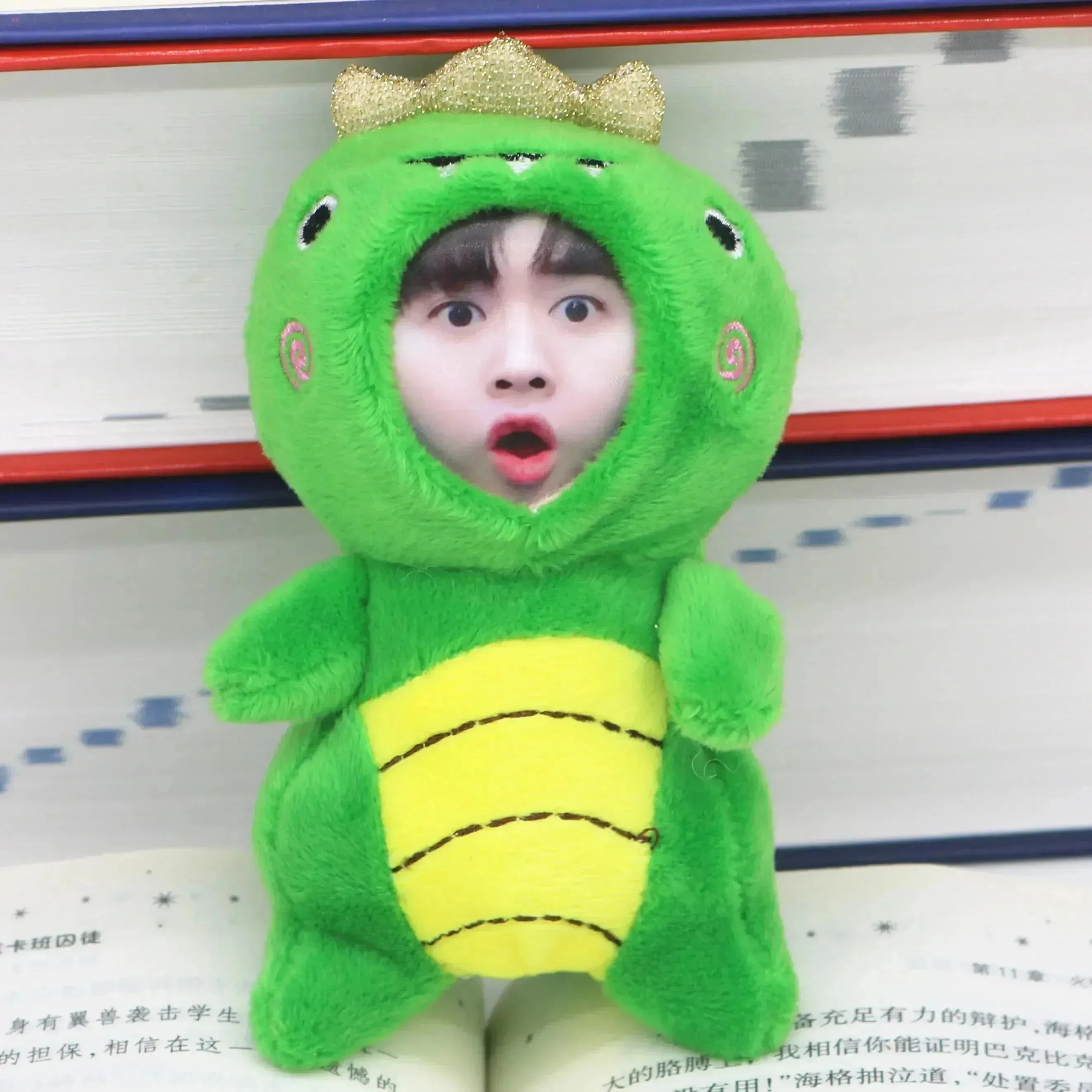 Custom 3D Plush Face Doll Keychain with Voice Recording