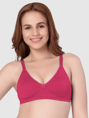 Daisy Dee Dusty maroon Non Padded Non-Wired Full Coverage T-Shirt Bra - NSNA-Dusty Maroon