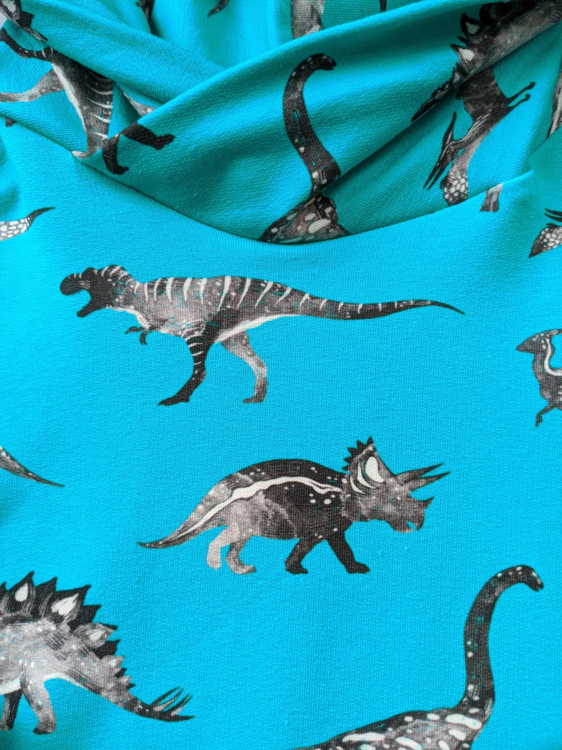 Dinosaur Hoodie