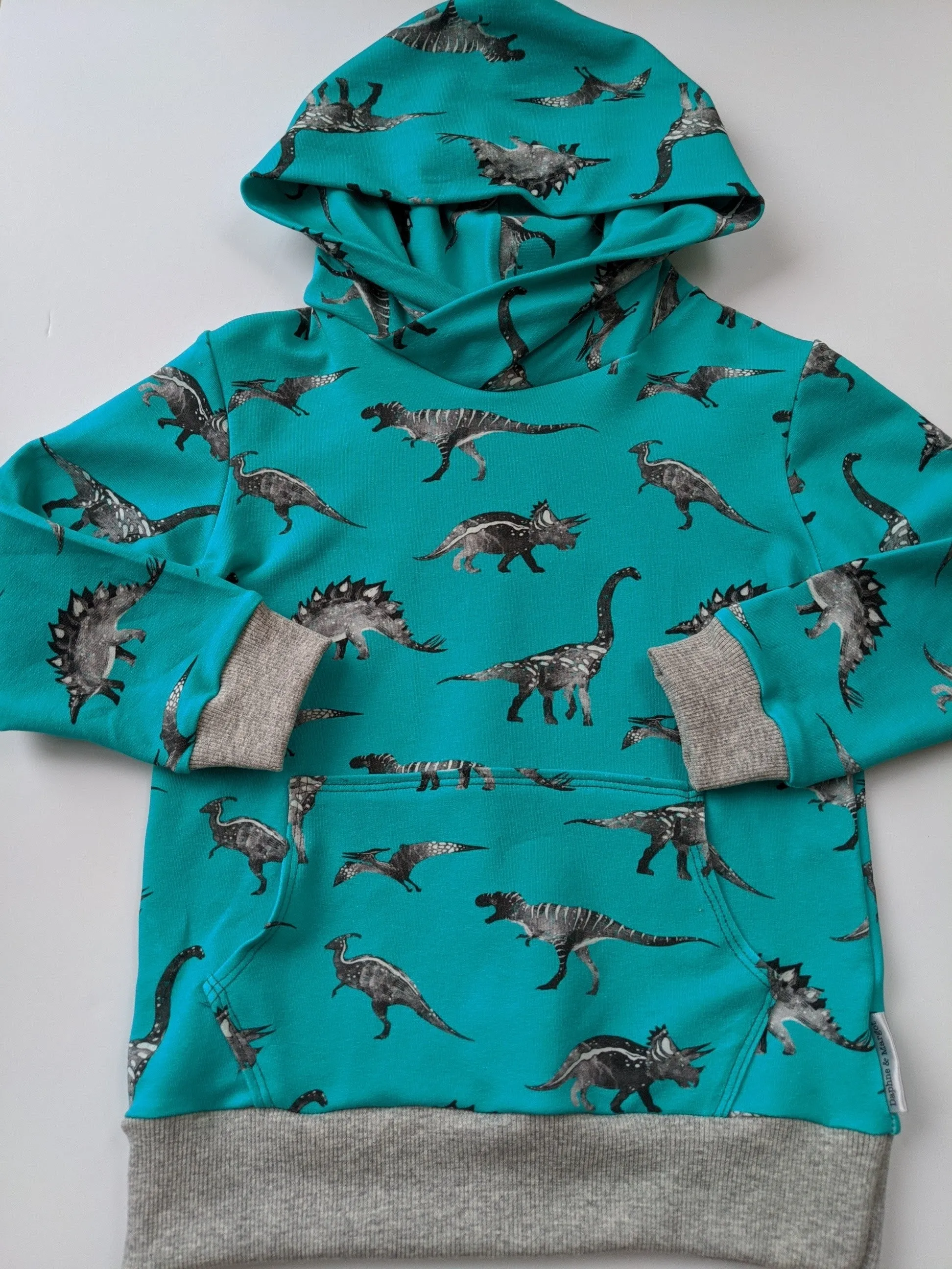 Dinosaur Hoodie