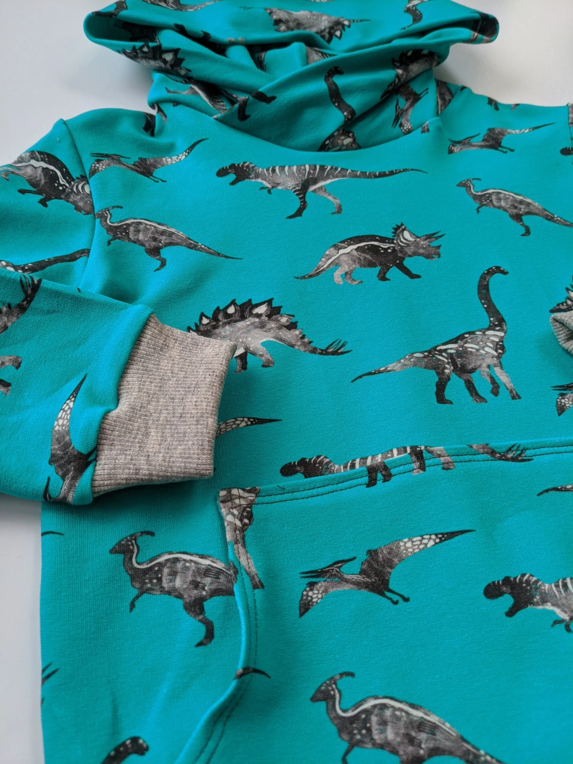 Dinosaur Hoodie