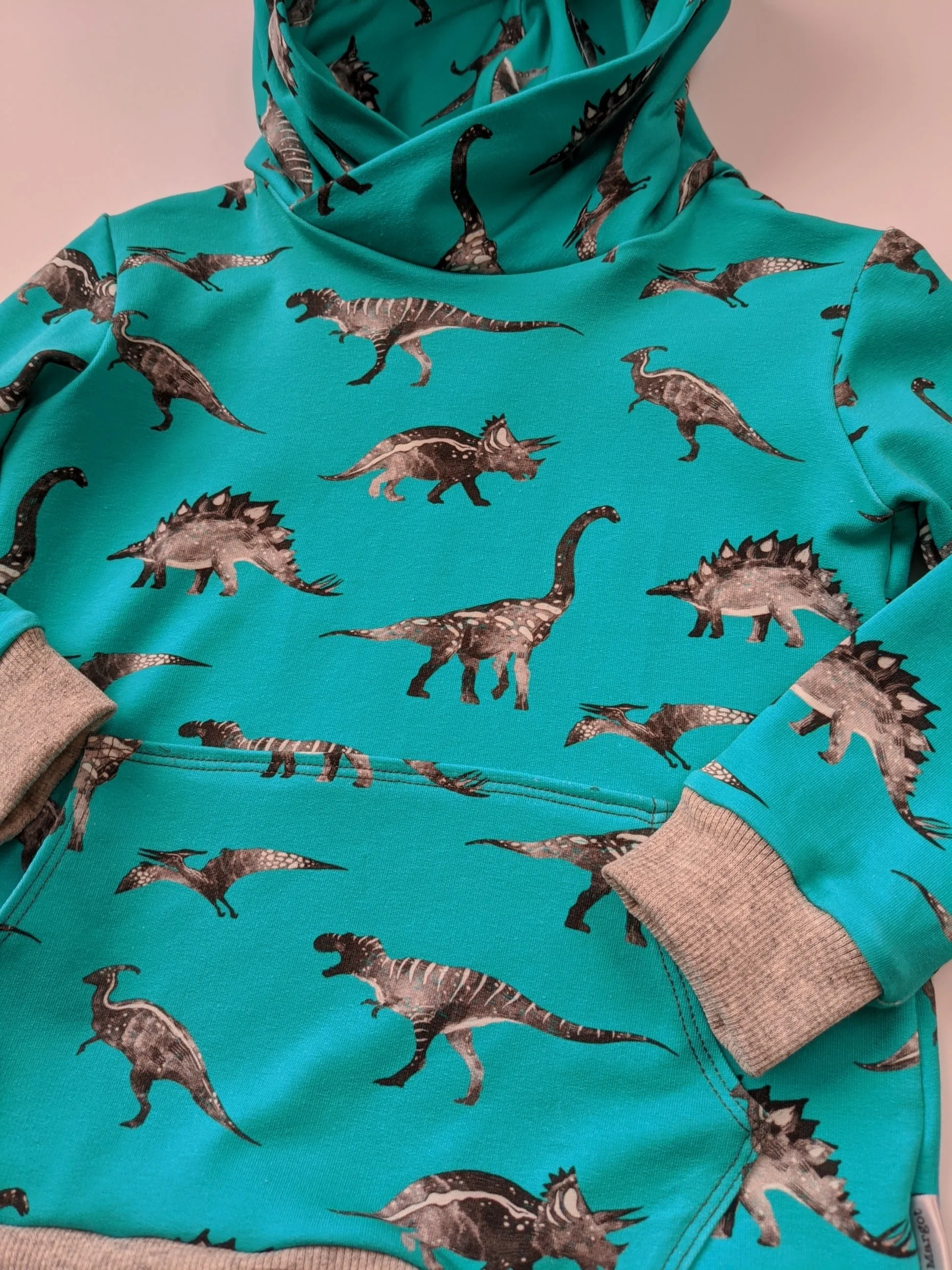 Dinosaur Hoodie