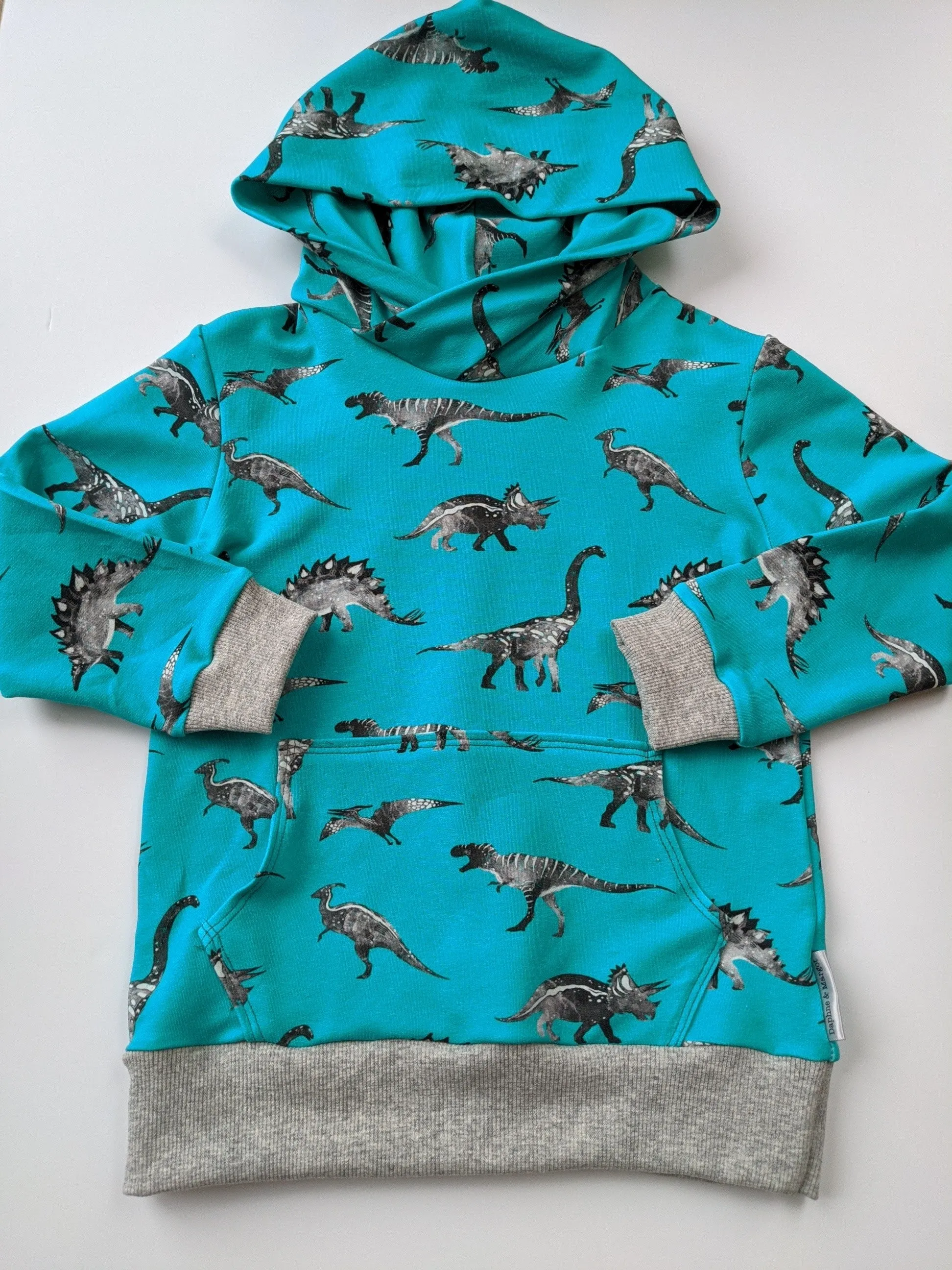 Dinosaur Hoodie