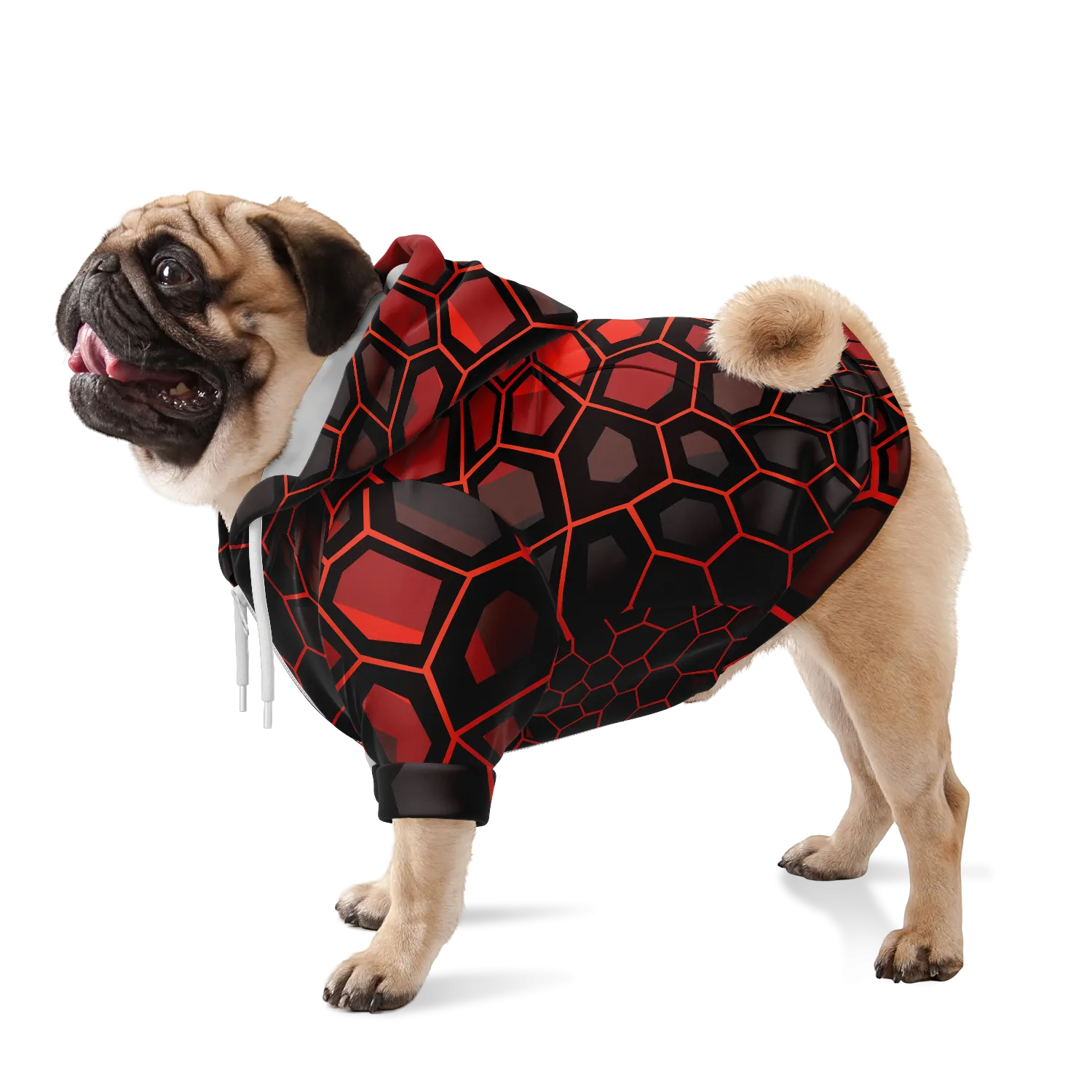 Dog red scale skin-2021
