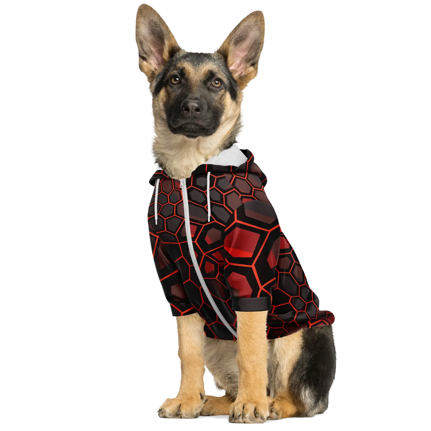 Dog red scale skin-2021