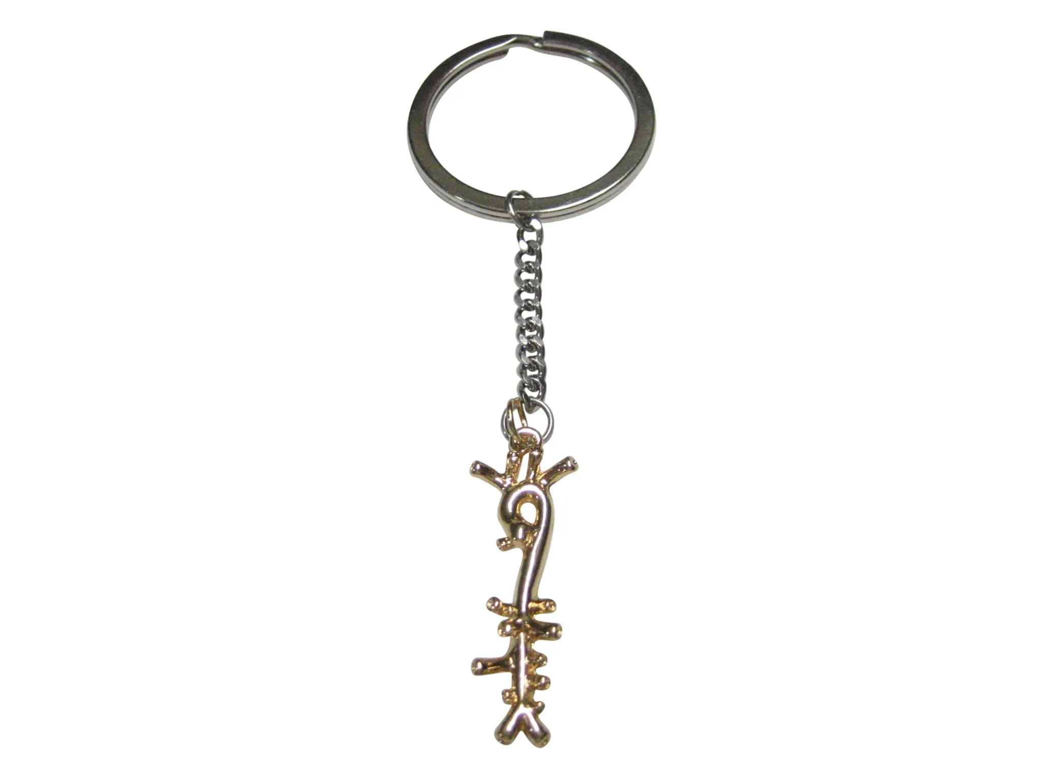 Gold Toned Medical Anatomical Aorta Artery Pendant Keychain
