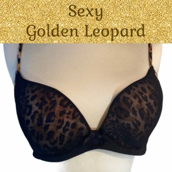 Leopard Print Lace Bra Sexy Sexy Leopard Lace Bra
