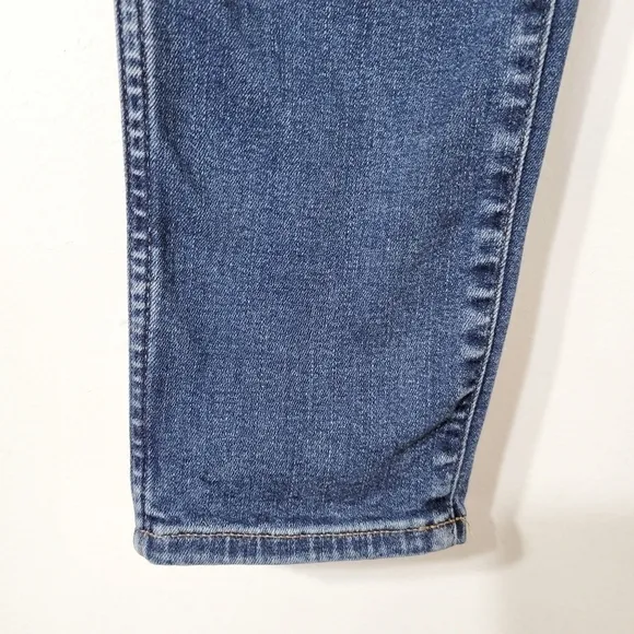 Madewell Curvy High-Rise Skinny Jeans in Coronet Wash Size 25