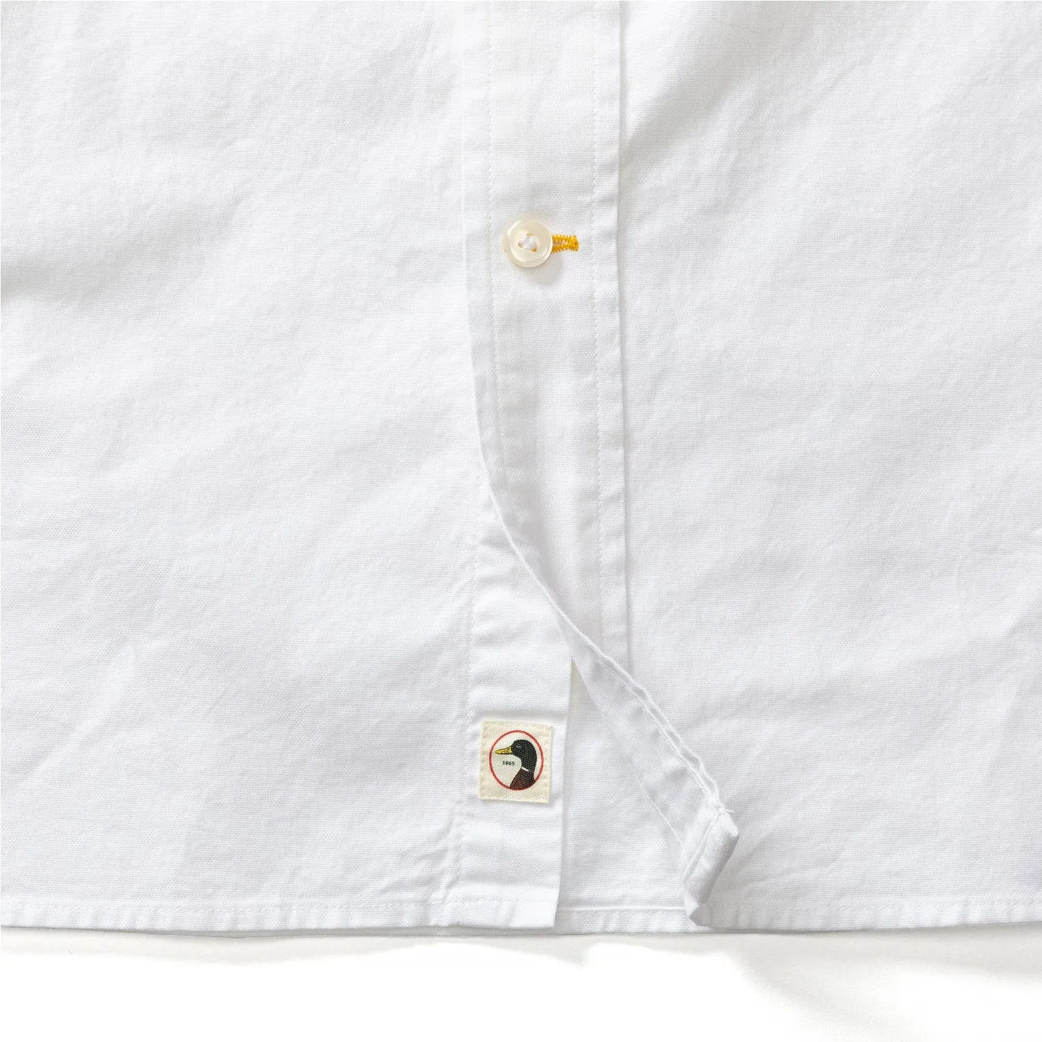 Morris Solid Cotton Oxford Sport Shirt - White