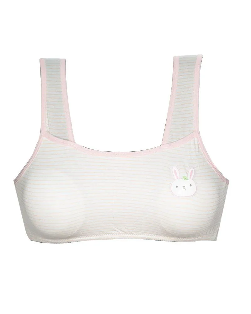 Pack of 2 -  Comforts Cotton Bra for Women, Wirefree Bra For Ladies