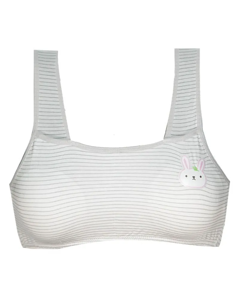 Pack of 2 -  Comforts Cotton Bra for Women, Wirefree Bra For Ladies