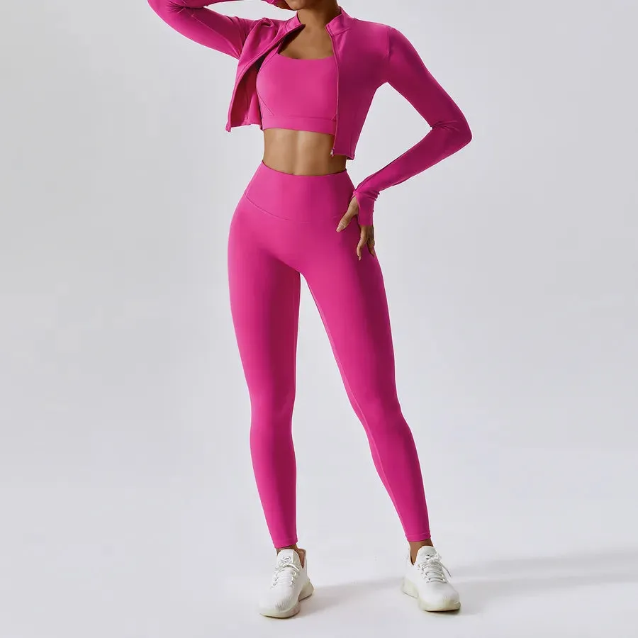 Simple Style Solid Color Nylon Spandex Standing Collar Tracksuits 3 piece sets