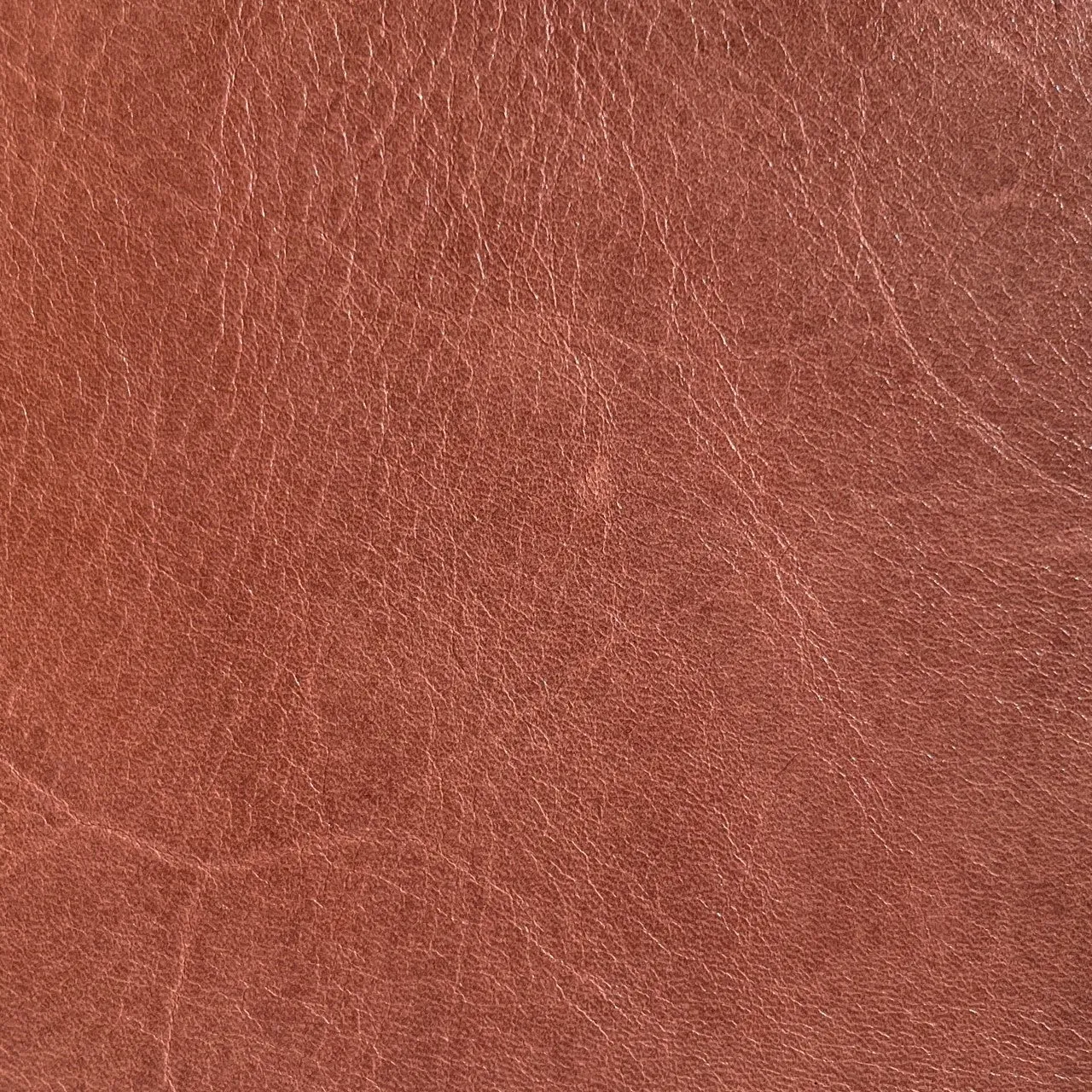 Tuscany Cow Quarter Sides | Tan | 1.8  -2.0mm | 5-6 sq.ft | From $125 ea.
