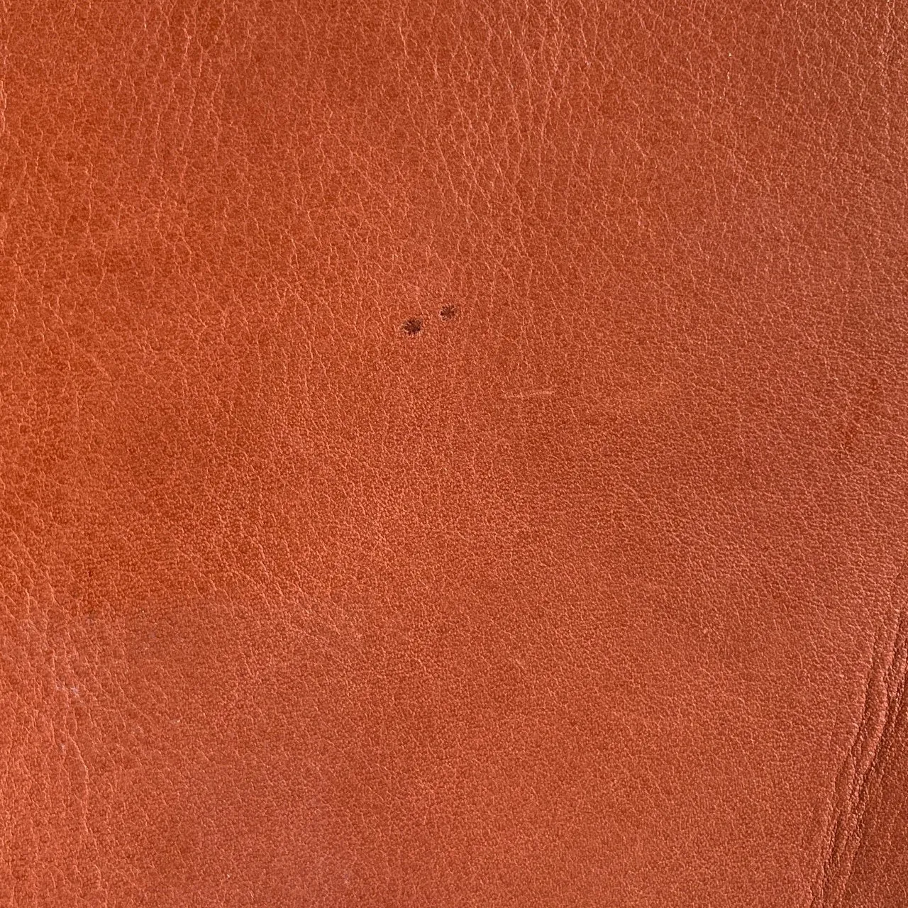 Tuscany Cow Sides | Amber | 1.8  -2.0mm | 22 sq.ft | From $365 ea.
